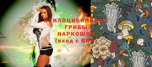 индика Алзамай