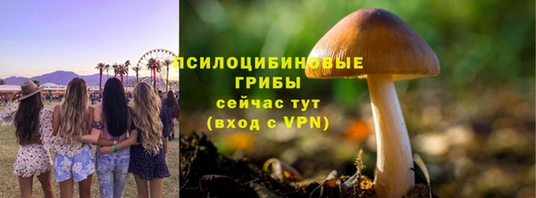 индика Алзамай
