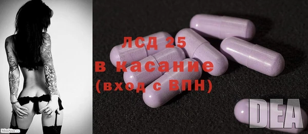 индика Алзамай