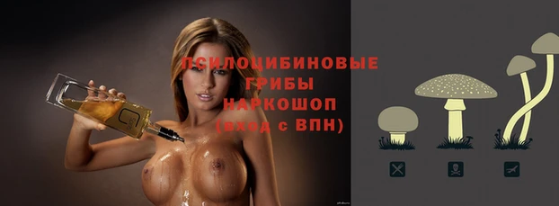 дурь Алексеевка