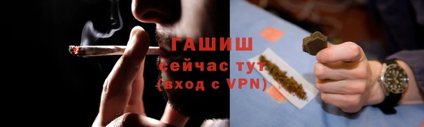 индика Алзамай