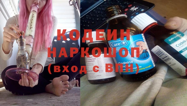 амф Алексин