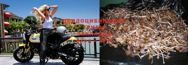 дурь Алексеевка