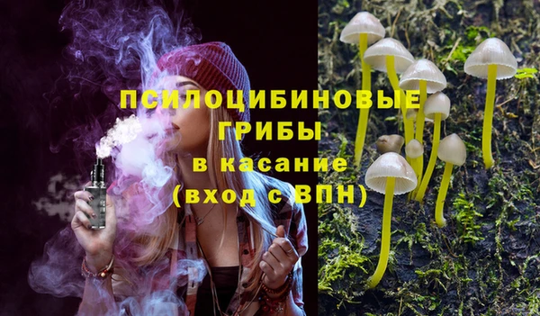индика Алзамай