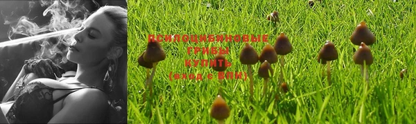 дурь Алексеевка