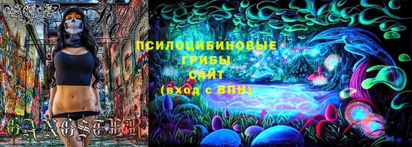 дурь Алексеевка